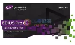 专业的非编剪辑软件Edius视频教程合集共23套33GB MP4格式